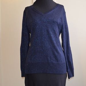 New York & Company Blue Shimmer V-Neck Sweater